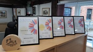 five frames in certificates on desk