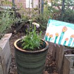 green pot with flower