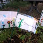 herbs in pot with sign