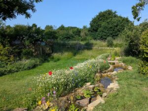 garden in summer with green grass, blue and trees in background. Water stream in foreground with widlflowers