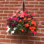 hanging basket with red, orange and pink flowers
