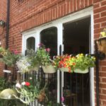 hanging flower baskets and containers hanging from patio doors