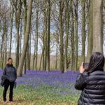 Two people wearing black clothes taking photos among bluebells