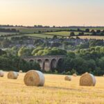 Countryside field with hay bales