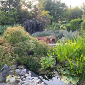 mature garden with pond