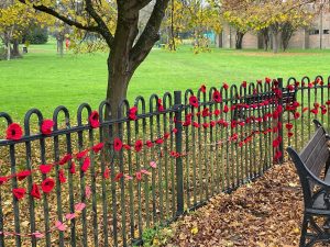 red knitted poppies on black railings at park with tree in background
